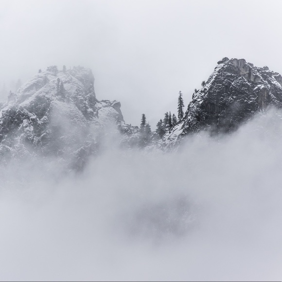 Meet your Posher, Victoria - Picture 4 of 8